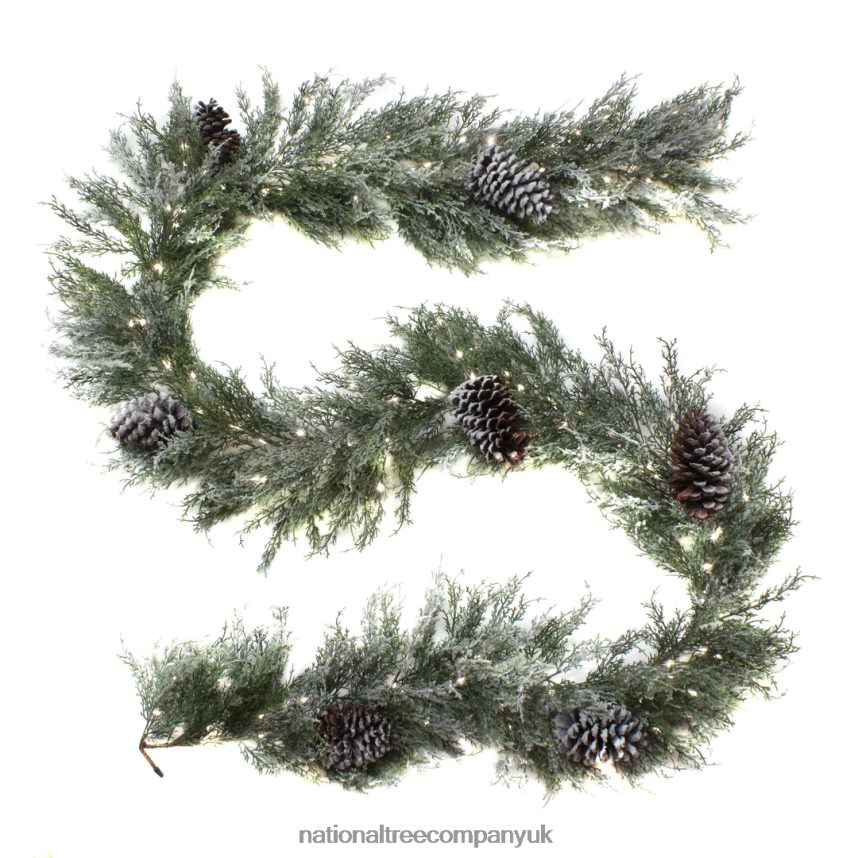 Greenery  National Tree Company Pre Lit Artificial Garland, Snowy  Christmas, Green, Frosted, Decorated with Frosted Pine Cones, Pure White  LED Lights, Battery Powered, Christmas Collection, 9 Feet F2 [F2L4F395] :  National